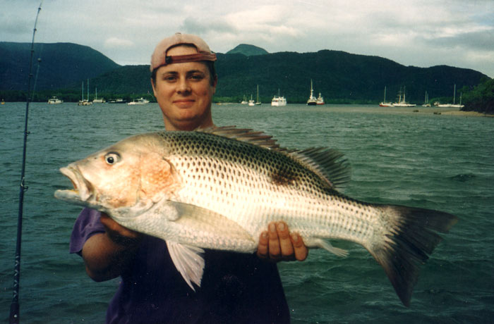 great sized fish good eating too